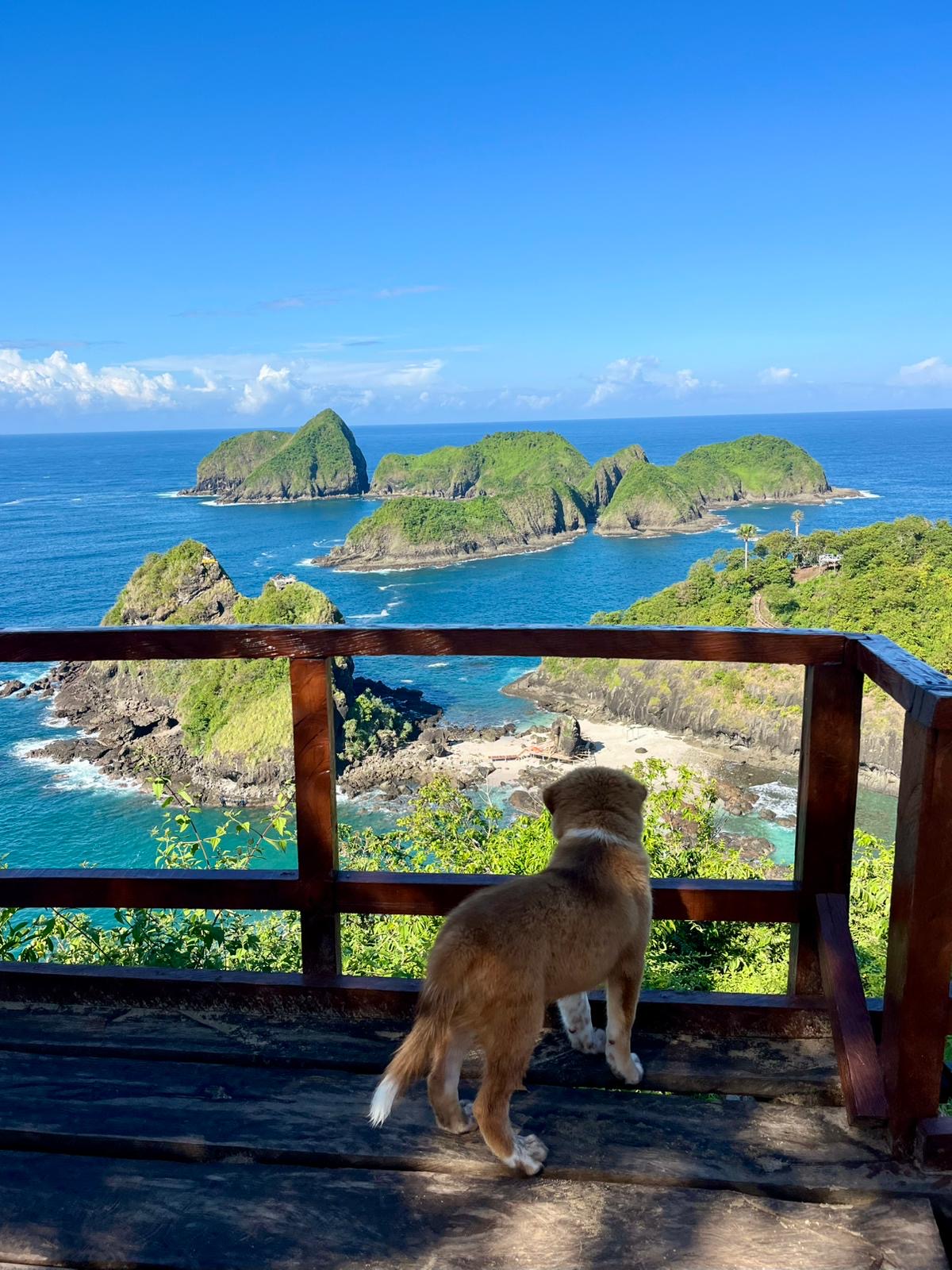 Green Island Banyuwangi